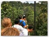 Tree Top Walk MacRitchie Park